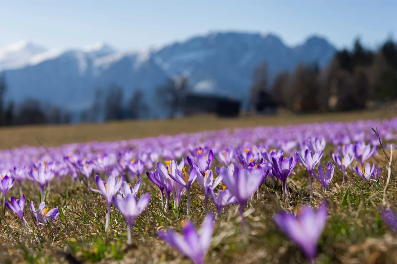 Kościelisko latem: spokojna baza wypadowa